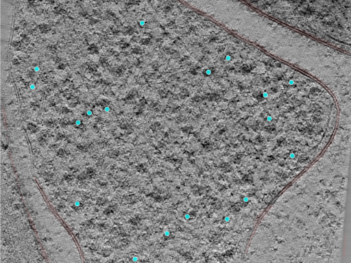 key visualization for 24jul24a_Position_9_3