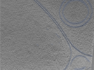 key visualization for 24sep24a_Position_101