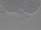 key visualization for 24sep24a_Position_102