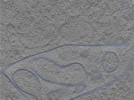 key visualization for 24sep24a_Position_102_2