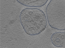 key visualization for 24sep24a_Position_103
