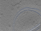 key visualization for 24sep24a_Position_103_2