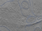 key visualization for 24sep24a_Position_104