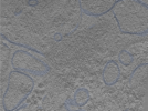 key visualization for 24sep24a_Position_105