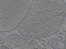 key visualization for 24sep24a_Position_107