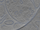 key visualization for 24sep24a_Position_108