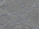 key visualization for 24sep24a_Position_11