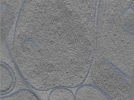 key visualization for 24sep24a_Position_110_2