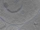 key visualization for 24sep24a_Position_115