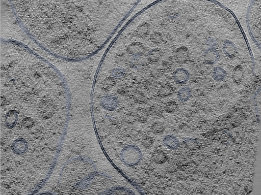 key visualization for 24sep24a_Position_118