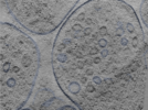 key visualization for 24sep24a_Position_118