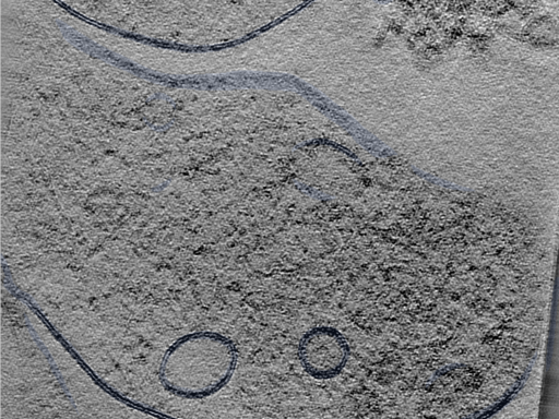 key visualization for 24sep24a_Position_119