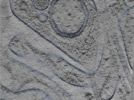 key visualization for 24sep24a_Position_119_2
