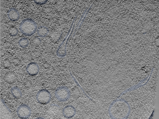 key visualization for 24sep24a_Position_129_3