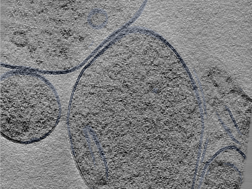 key visualization for 24sep24a_Position_19_3