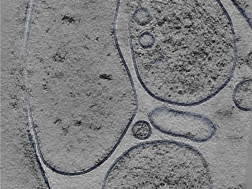 key visualization for 24sep24a_Position_8_4