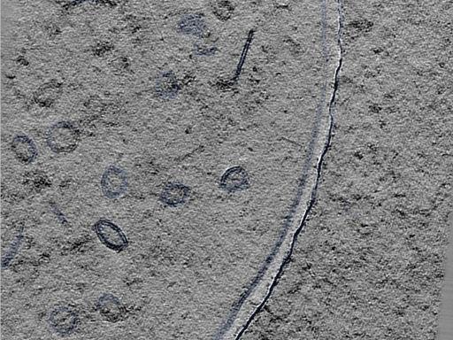 key visualization for 24sep24a_Position_91_2