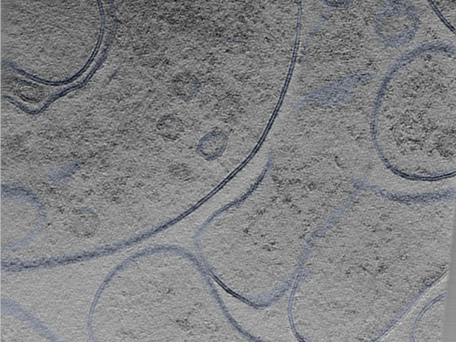 key visualization for 24sep24a_Position_92