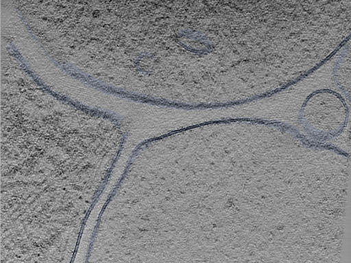 key visualization for 24sep24a_Position_94