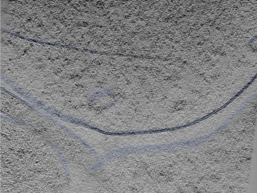 key visualization for 24sep24a_Position_97_3