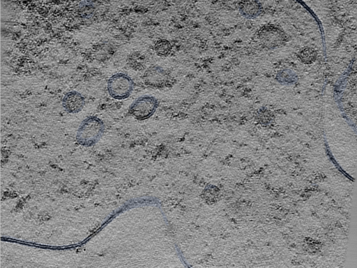 key visualization for 24sep24a_Position_99
