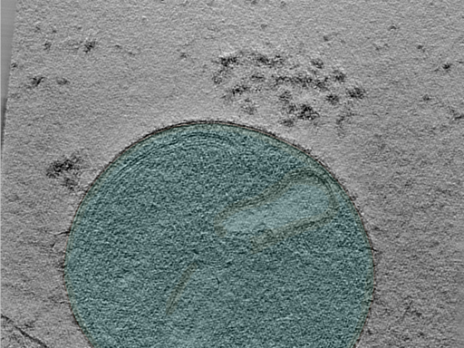 key visualization for 24apr23a_Position_16