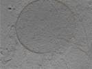 key visualization for 24apr23a_Position_26