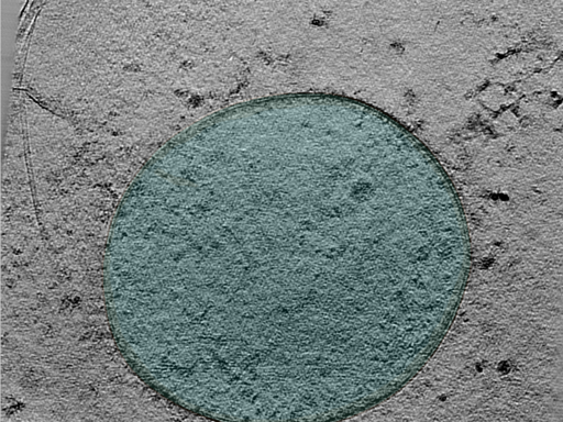 key visualization for 24apr23a_Position_26