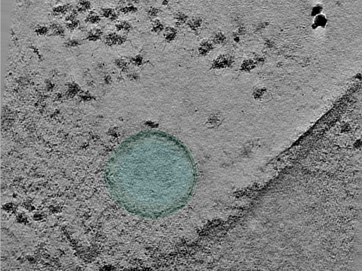 key visualization for 24apr23a_Position_27