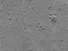 key visualization for 24apr23a_Position_3