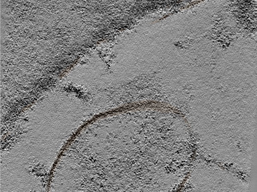 key visualization for 24may16a_Position_8_12