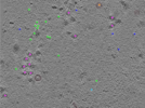 key visualization for TS_101_5