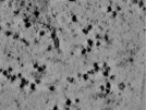 key visualization for TS_103_4