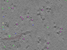 key visualization for TS_103_4