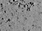 key visualization for TS_103_5