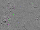 key visualization for TS_103_5