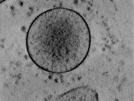 key visualization for TS_105_5