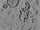 key visualization for TS_105_7