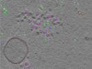 key visualization for TS_105_7