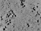 key visualization for TS_106_7