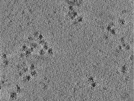 key visualization for TS_106_7
