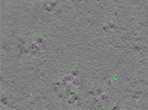 key visualization for TS_106_7