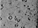 key visualization for TS_107_1