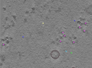 key visualization for TS_107_1