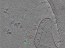 key visualization for TS_109_2