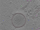 key visualization for TS_111_2