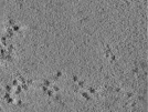 key visualization for TS_112_6