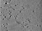 key visualization for TS_114_4