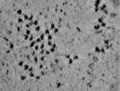 key visualization for TS_115_7