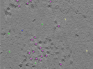 key visualization for TS_115_7
